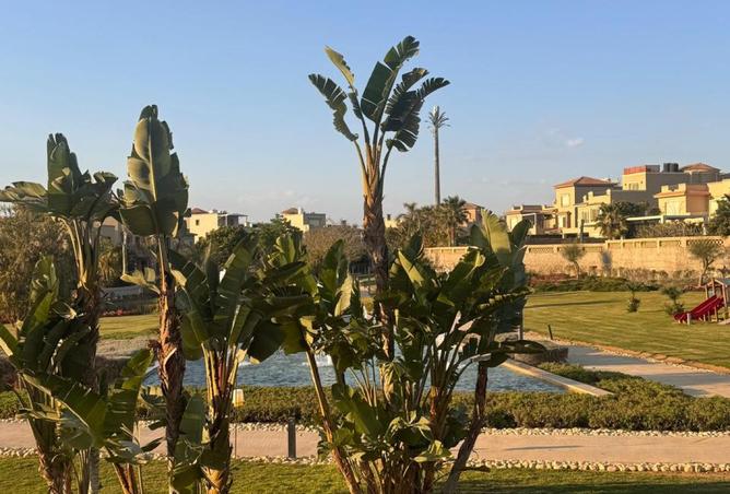 91572361 - صورة العقار 2