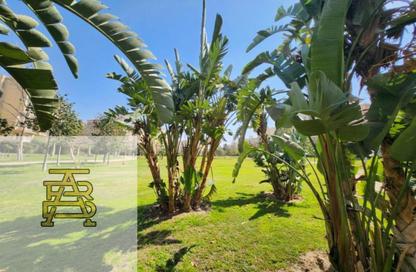 Apartment - 5 Bedrooms - 4 Bathrooms for sale in Madinaty - Cairo Apartment - 5 Bedrooms - 4 Bathrooms for sale in Madinaty - Cairo