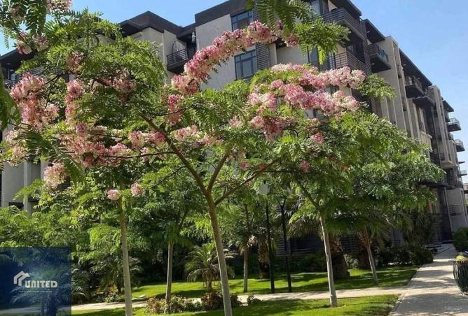 8518371 - صورة العقار 2