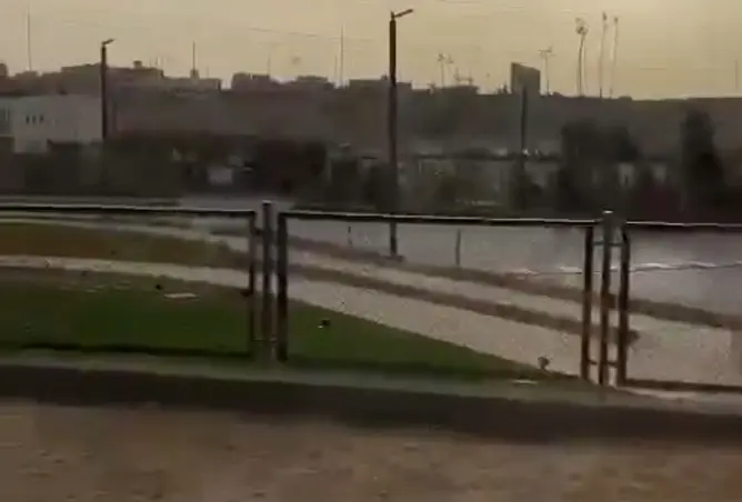 111320517 - صورة العقار 3