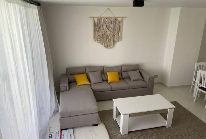 62169050 - Property Image 3