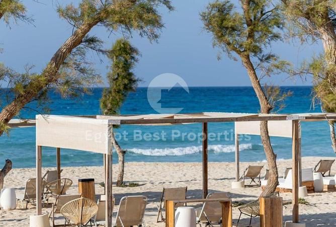 54496881 - Property Image 3