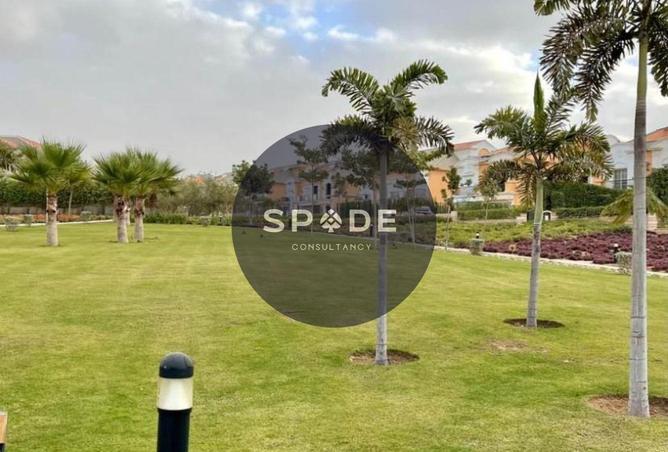 8694801 - صورة العقار 3