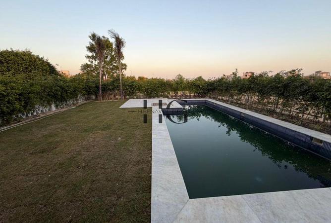 56003553 - Property Image 2