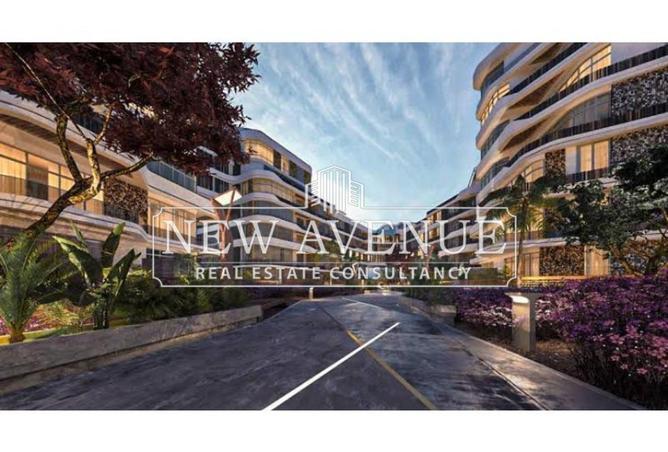 58981897 - Property Main Image