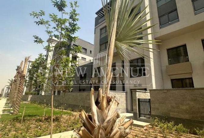 99113079 - Property Image 3