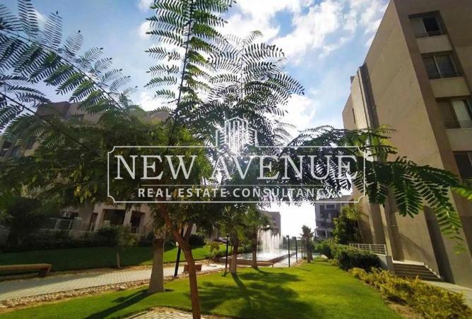 62645543 - Property Image 3