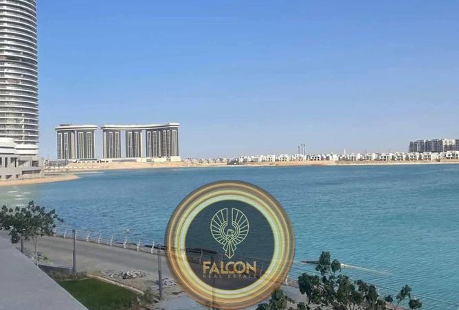 77603786 - صورة العقار 3