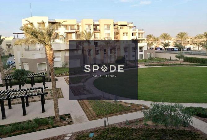 8431334 - صورة العقار 2