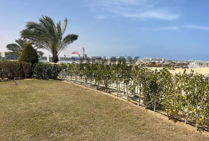 52971367 - صورة العقار 3