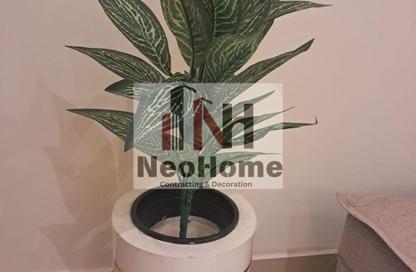 Apartment - 2 - 1 for rent in B1 - Madinaty - Cairo