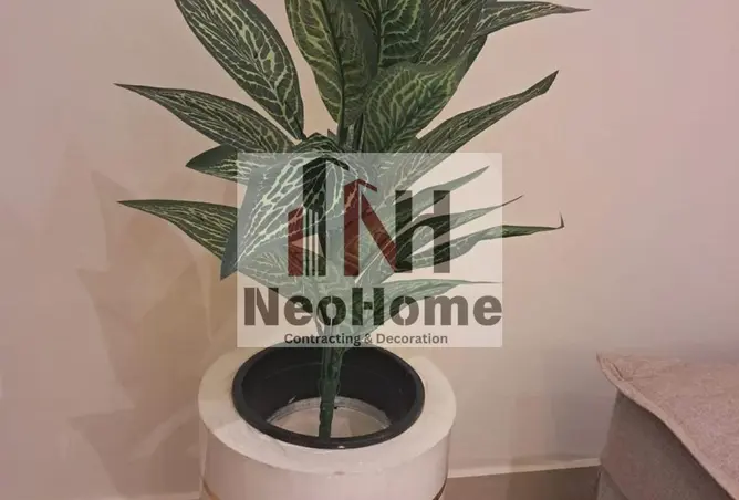 116229936 - Property Image 2