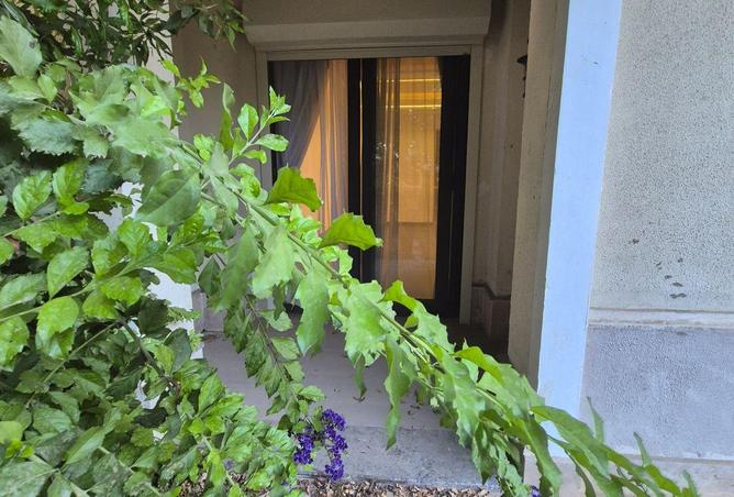 67214899 - صورة العقار 2