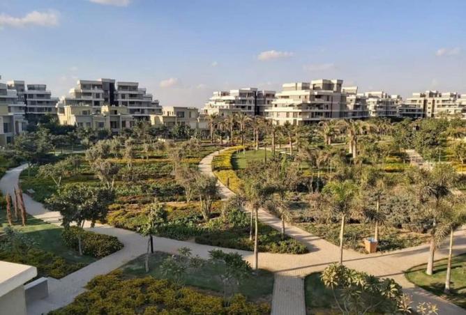 58256248 - صورة العقار 3