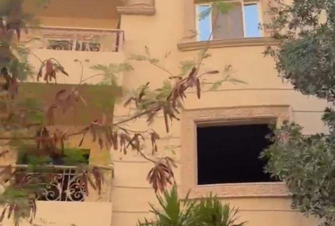 66969611 - صورة العقار 2