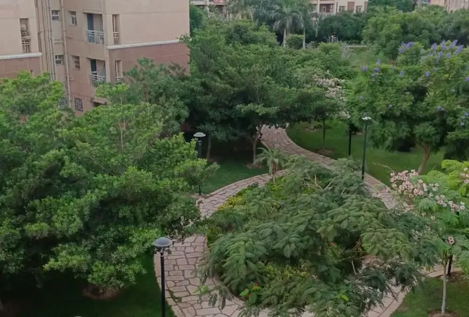 114889288 - صورة العقار 2