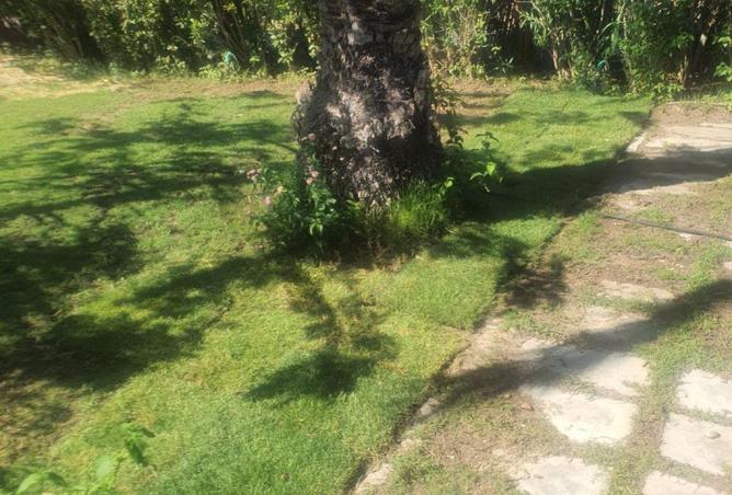 56493529 - الصورة الرئيسية للعقار