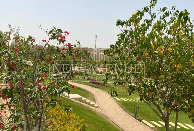 85046510 - صورة العقار 3
