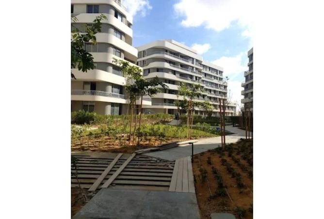 58498560 - صورة العقار 3