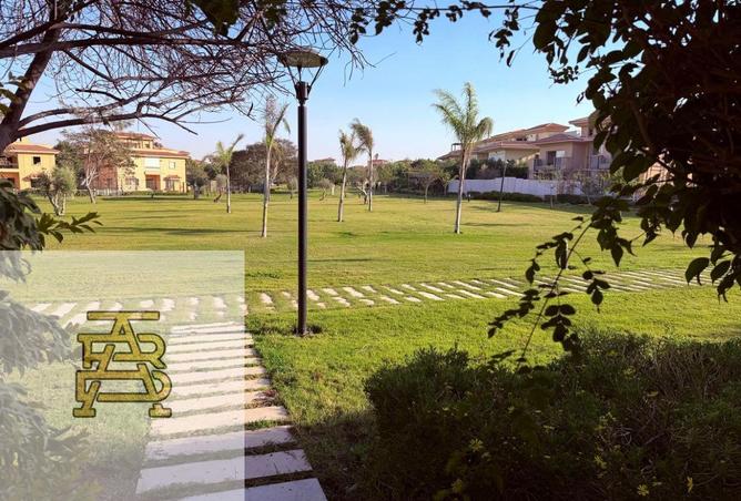 63887542 - Property Image 3