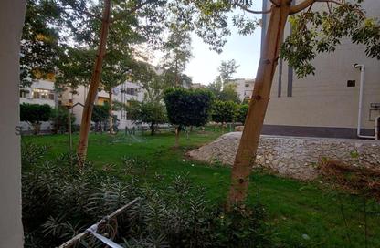 Apartment - 2 Bedrooms - 1 Bathroom for rent in 1st District - Sheikh Zayed City - Giza