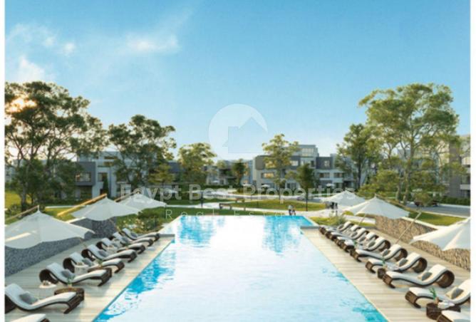 51938391 - Property Image 2