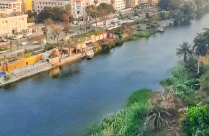 شقة - 3 غرف نوم - 1 حمام للايجار في شارع الملك الصالح - الروضة - حي المنيل - القاهرة