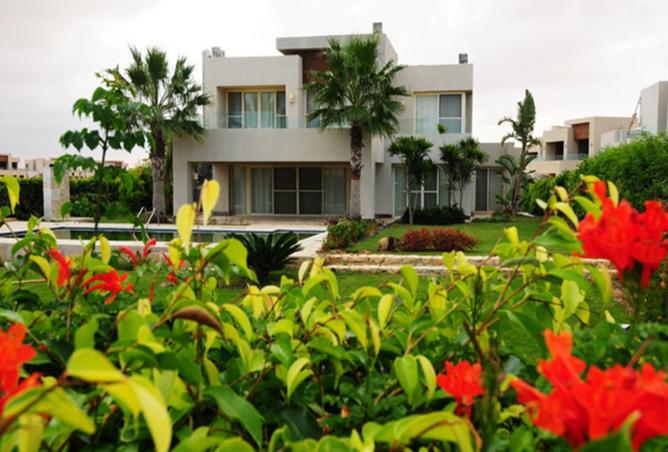 99108311 - Property Image 2