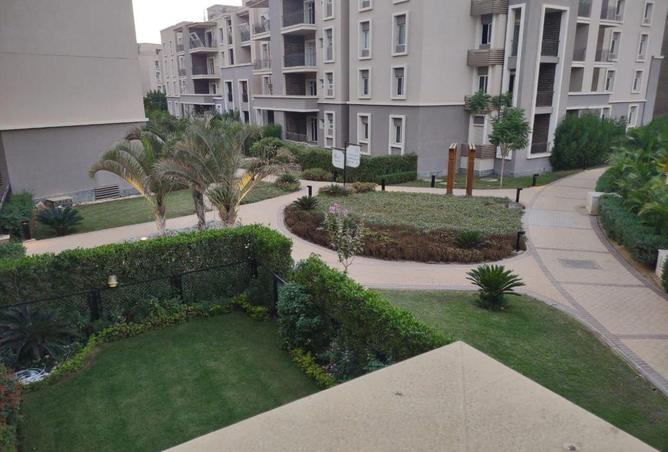 55756643 - صورة العقار 2