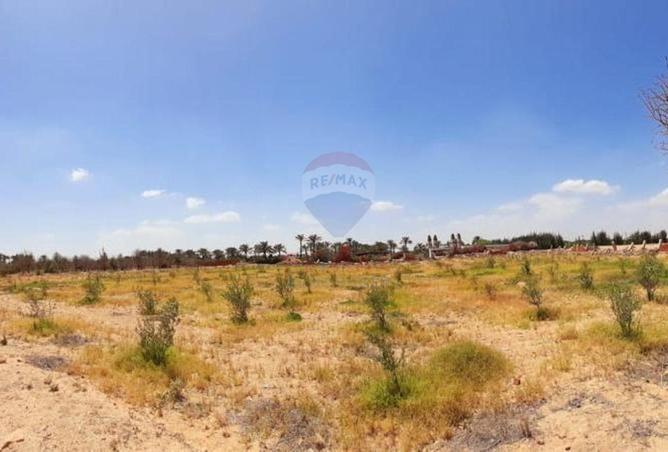 61440242 - صورة العقار 3