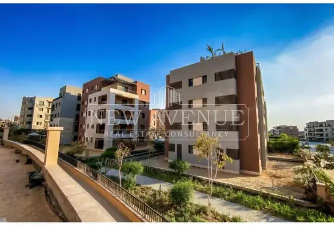 118805416 - صورة العقار 2