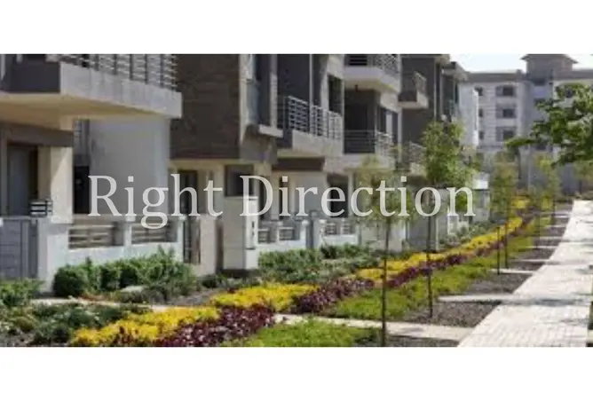 113256538 - Property Image 2