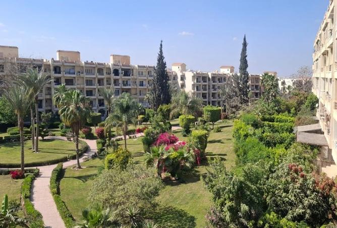 8416772 - الصورة الرئيسية للعقار