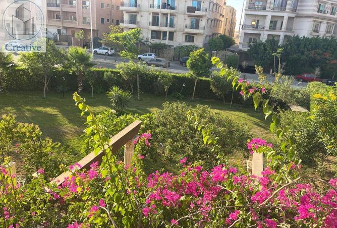 59074504 - صورة العقار 2