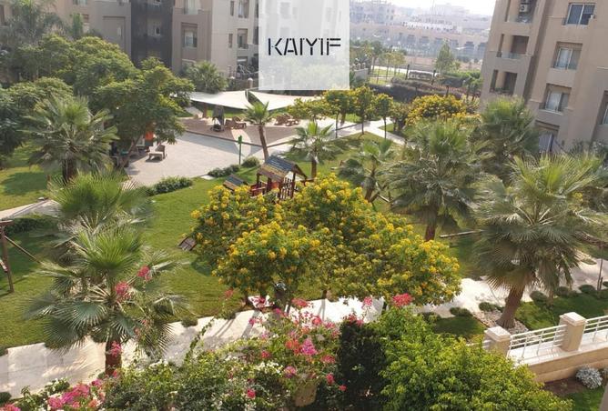 53983962 - صورة العقار 2