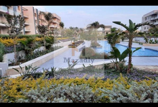 66432022 - صورة العقار 2