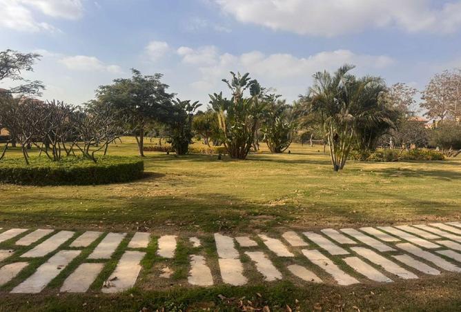 58252557 - صورة العقار 3