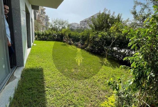 52451527 - Property Image 3