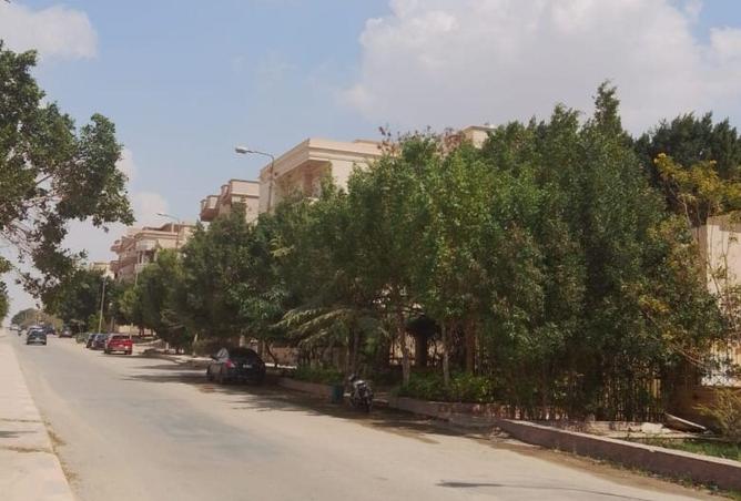 64640342 - Property Image 2