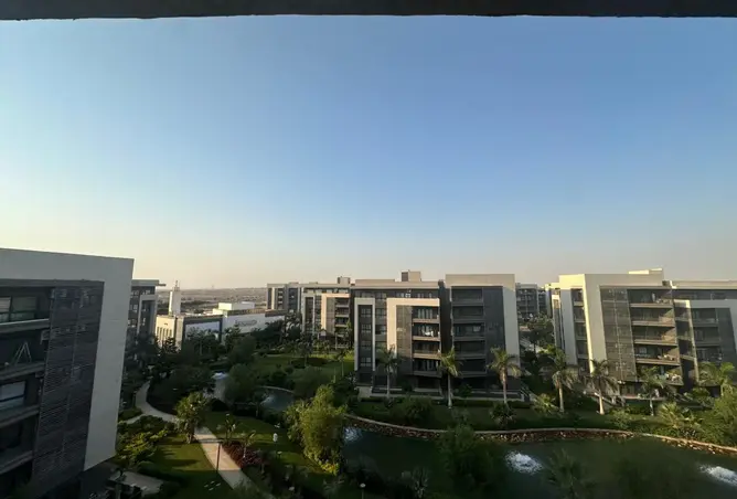 113831567 - Property Image 3