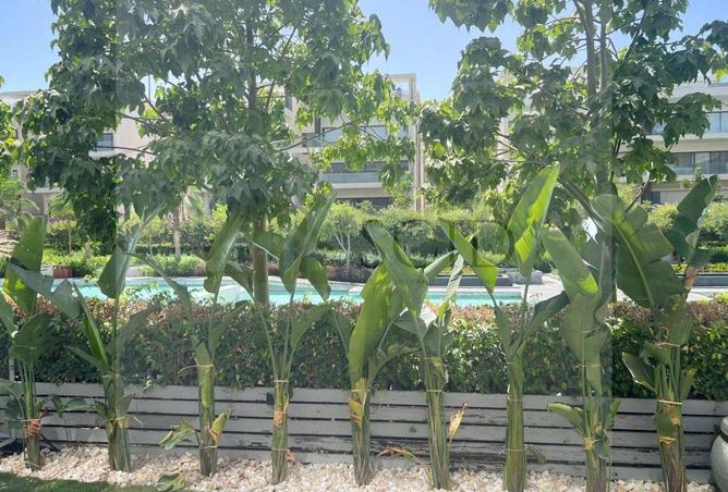 65410253 - Property Image 3