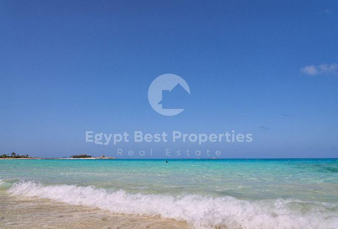 105171378 - Property Image 2