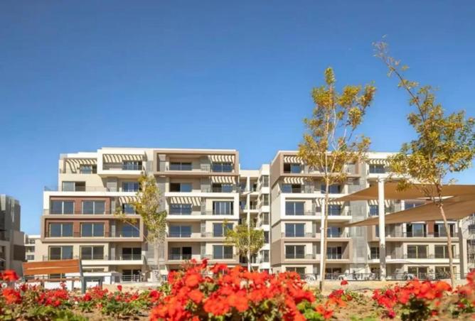 66699740 - Property Image 3