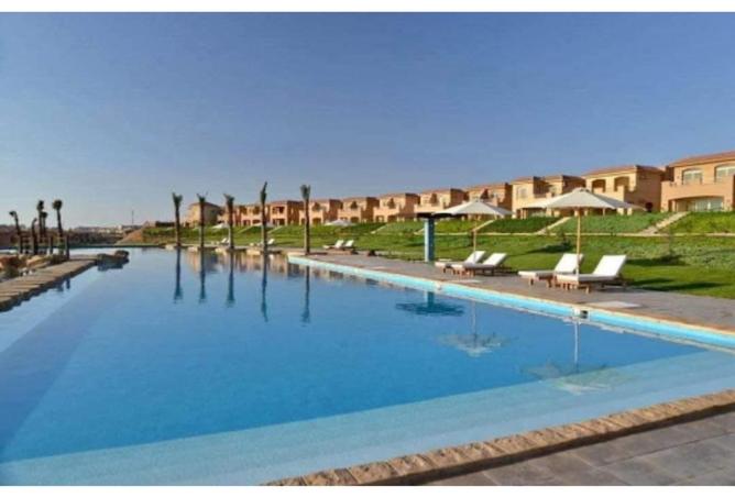 65913794 - الصورة الرئيسية للعقار