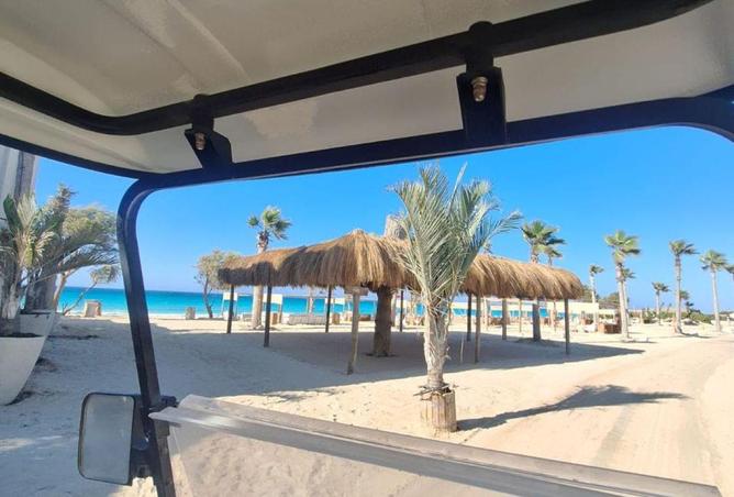 65160811 - صورة العقار 2