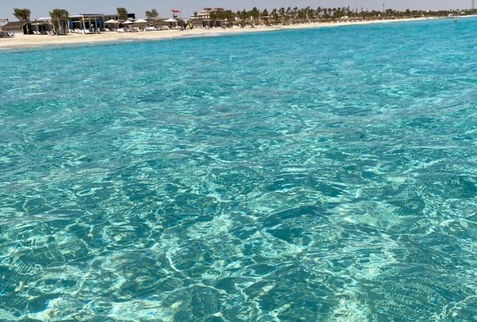 65160811 - صورة العقار 3