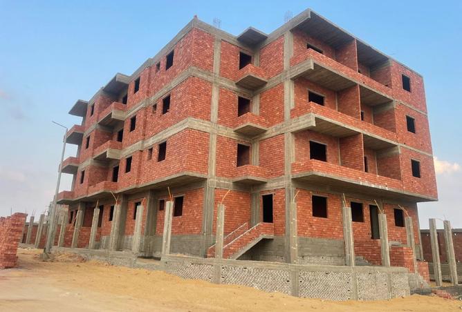 8447886 - Property Image 3