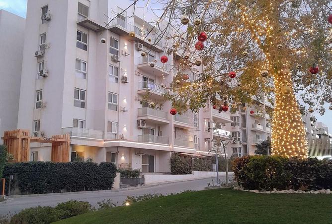 66955897 - Property Image 3