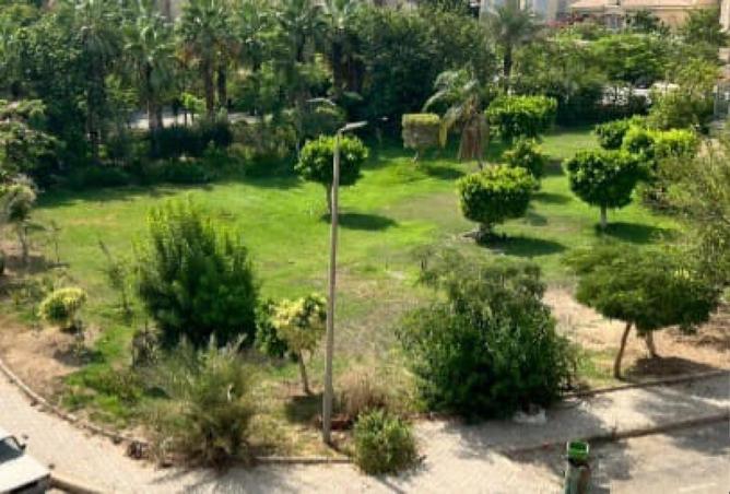 91280786 - صورة العقار 2