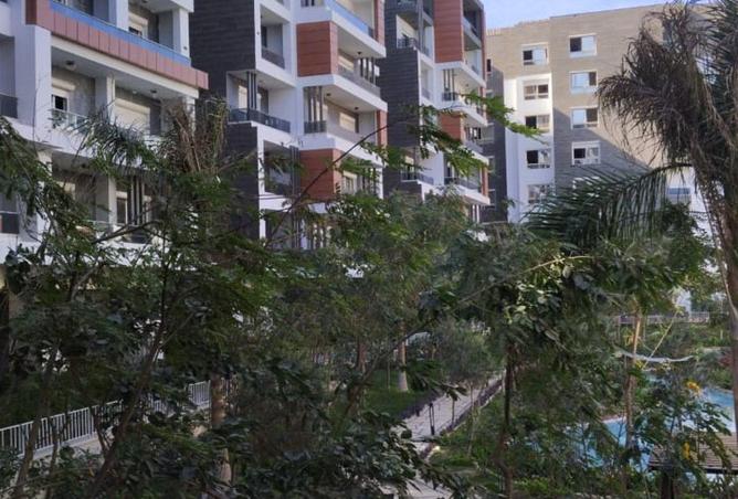 87210946 - صورة العقار 3